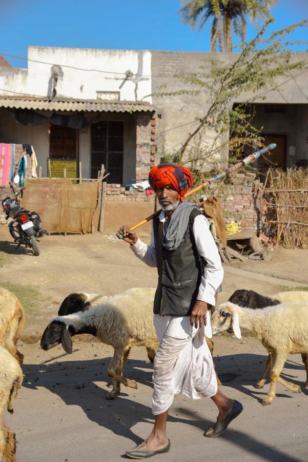 ホテル Shahpura Bagh エクステリア 写真
